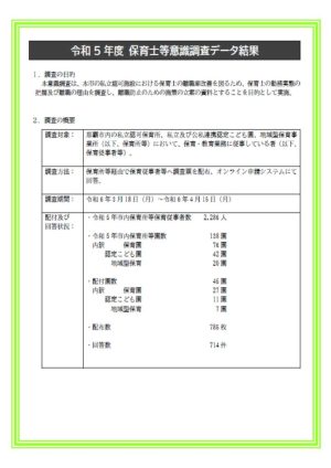 那覇市調査【表紙のみ】&調査結果のサムネイル